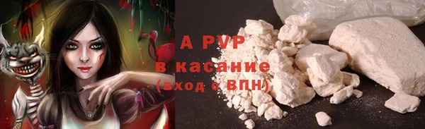амф Алзамай
