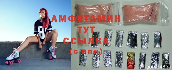 гашик Слюдянка