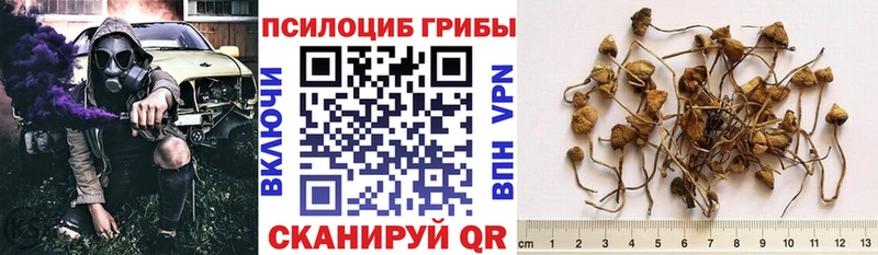 Галлюциногенные грибы Psilocybine cubensis  Ува 